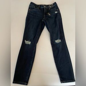 Express Curvy Skinny Jeans